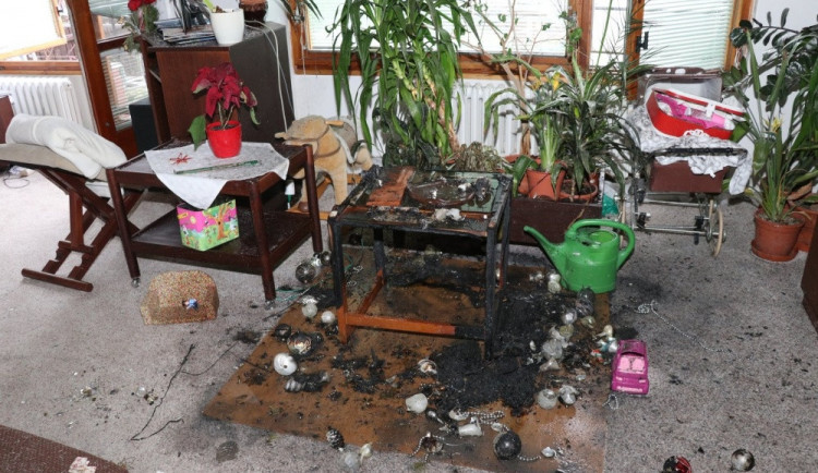 Zbytky vánočního stromečku