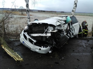 Na Novobydžovsku narazilo auto do stromu. Řidič svým zraněním na místě podlehl