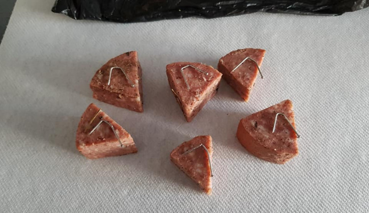 Salám se zapíchanými špendlíky