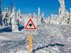 Strážci Krkonoš bojují s neukázněnými lyžaři a snowboardisty