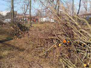 Park Háječek prochází rozsáhlými úpravami. Na jaře začne výsadba nových stromů