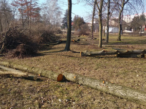 Park Háječek prochází rozsáhlými úpravami. Na jaře začne výsadba nových stromů