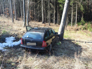 Řidič se zákazem řízení ujížděl policii a skončil ve stromě. Poté odmítl test na drogy