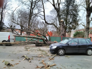 Vítr na Hradecku lámal stromy a ničil střechy