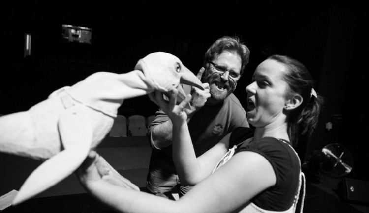 Zkouška představení O zlaté rybce