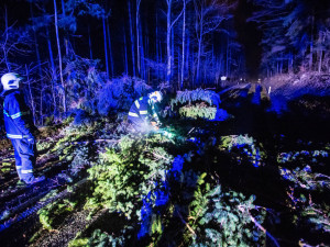 Vítr na Královéhradecku lámal stromy a ničil střechy, ČEZ vyhlásil kalamitu