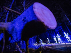 Vítr na Královéhradecku lámal stromy a ničil střechy, ČEZ vyhlásil kalamitu