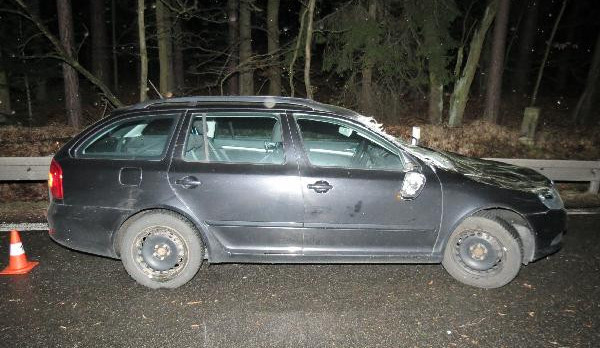 Poškozené auto po pádu stromu
