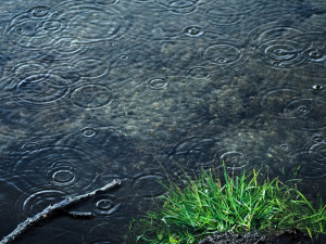 POČASÍ NA ČTVRTEK: Meteorologové předpovídají zataženo s deštěm a maximálně deset stupňů