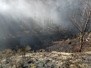 Během pondělí hasiči likvidovali několik požárů luk a lesů, do akce se dostalo letadlo