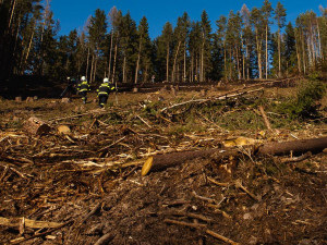 Během pondělí hasiči likvidovali několik požárů luk a lesů, do akce se dostalo letadlo