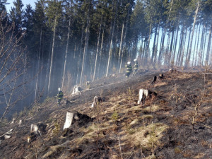 Během pondělí hasiči likvidovali několik požárů luk a lesů, do akce se dostalo letadlo