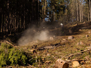Během pondělí hasiči likvidovali několik požárů luk a lesů, do akce se dostalo letadlo