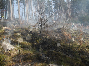 V Orlických horách hořelo 2,5 ha lesa, povoláni byli i hasiči z Polska