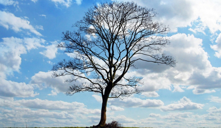 POČASÍ NA ÚTERÝ: Meteorologové varují před silným větrem