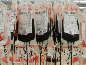 Stovky odborníků na poruchy krve se sjíždí do Hradce