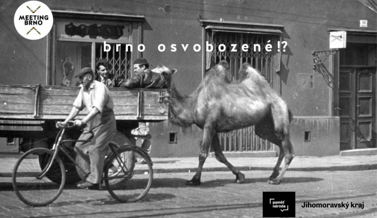 Teď když máme, co jsme chtěli. Dnes začíná festival Meeting Brno, nabídne unikátní výstavu nebo Pouť smíření