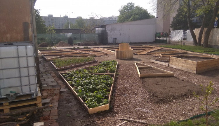 Tréninková zahrada v centru Hradce pomáhá lidem zahradní terapií