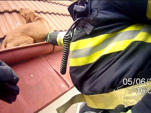 FOTO: Z okapu visí pes! Strážníkům volal svědek, zvíře ze střechy v centru Hradce sundali hasiči
