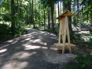 V Hořicích opravili Lesní stezku, cesta z kempu ke koupališti je jako nová