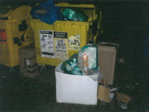 Poházený odpad okolo popelnic trápí Dvůr Králové.