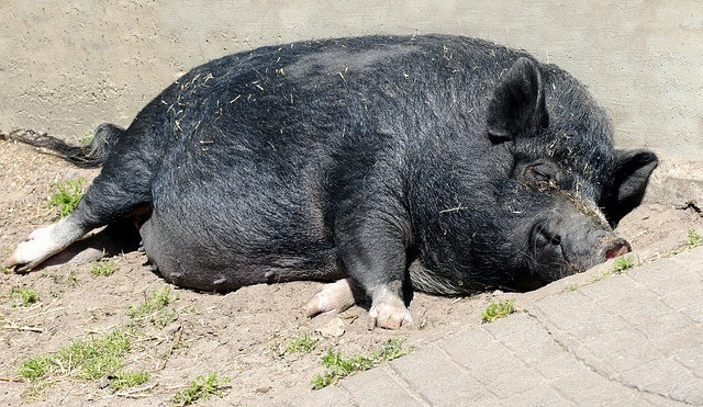 Ilustrační snímek