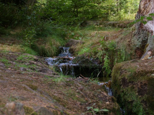 Program za miliardu. Lesy ČR zatím dokončily čtrnáct projektů na zadržení vody za padesát milionů