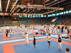 Mistrovství světa v karate v Hradci se pokusí o zápis do Guinnessovy knihy