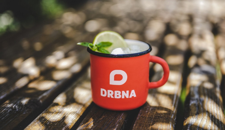 Drbna plecháček