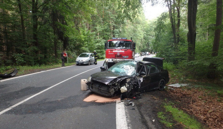 68751115_1425550097598058_7405027246169128960_o