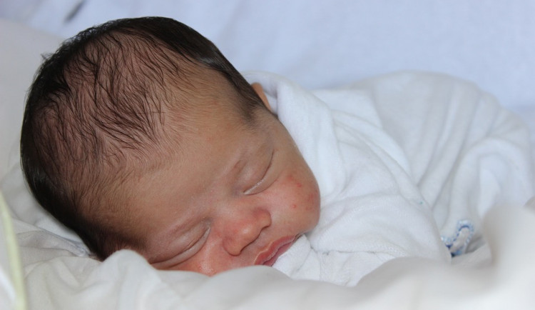 Babybox v Hradci působí už osm let. Za tu dobu se zachránily tři děti