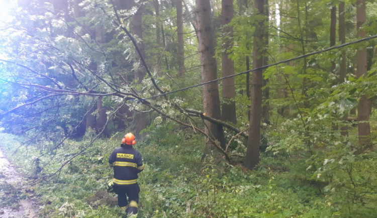 Silný vítr lámal stromy