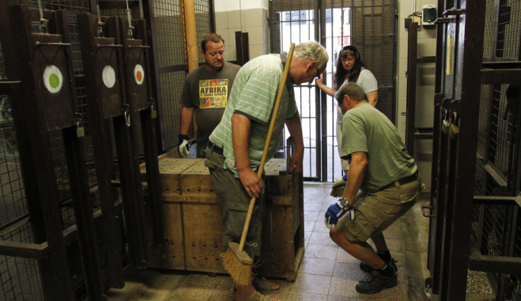 Transport zvířat proběhl v pořádku