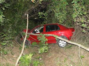 FOTO: Řidič v plné rychlosti napálil autem do stromu