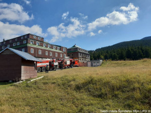 70557929_1391014227723207_7614595060071399424_o