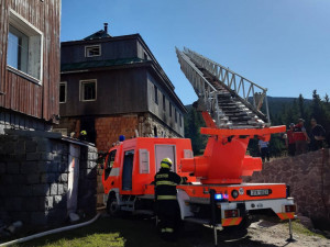 70826828_1391013257723304_7697323955622772736_o