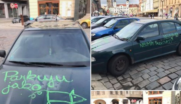 Žena se se svým dílem pochlubila