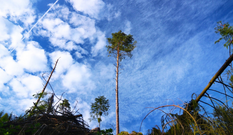 Vichřice napáchala škody. 