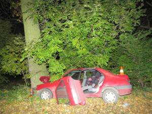 FOTO: Řidič, který na Rychnovsku narazil do stromu nehodu bohužel nepřežil