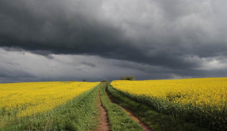 Pokud zemědělci nedodrží nové nařízení, stát jim v budoucnu zkrátí dotace.