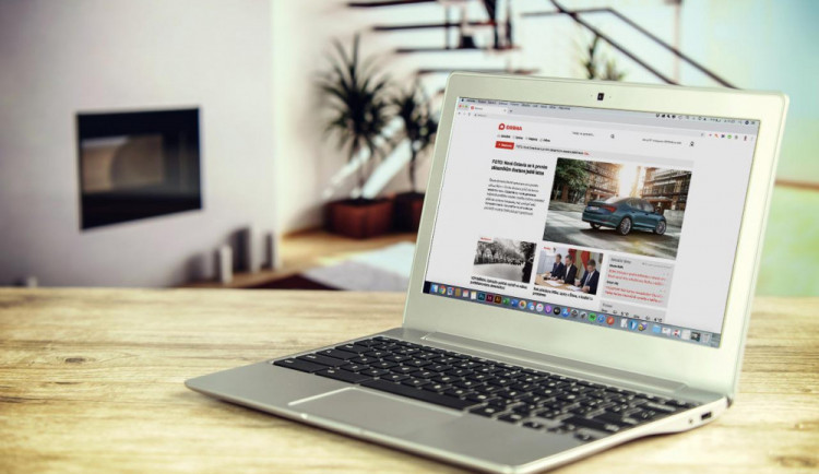 Drbna v novém kabátu