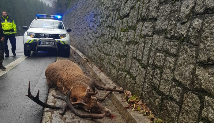 78308078_10156711349771592_4395152093988519936_o