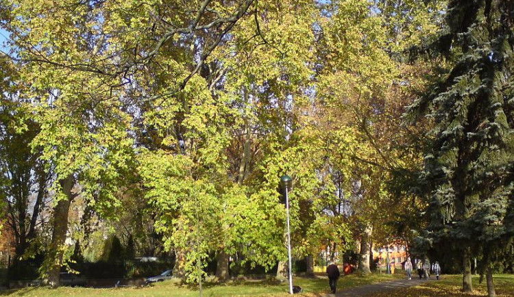 Hradec chystá opravu Kubištových sadů za deset milionů. Park se dočká obnovy po sto letech