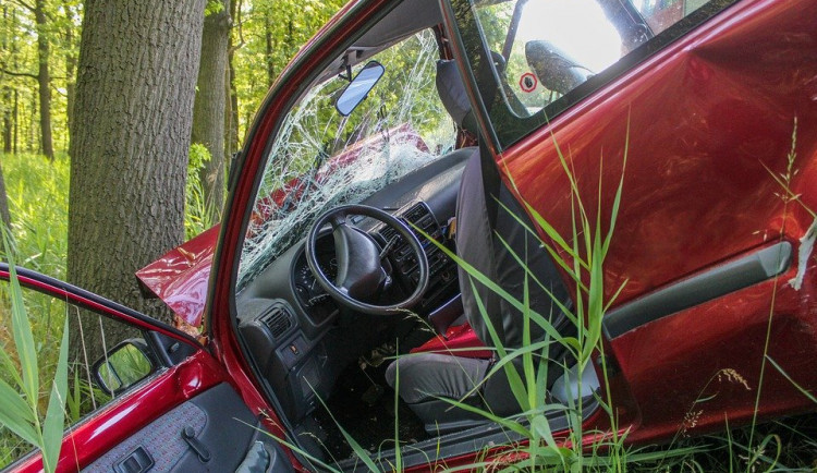 Pojišťovny i letos zaznamenaly vtipná hlášení svých klientů
