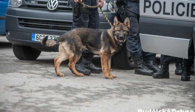 Muž zavolal policistům, že se chce zabít. Ti mu sebevraždu rozmluvili na autobusové zastávce