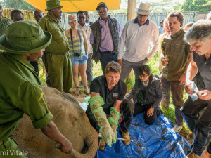 Vědci ze Safari parku ve Dvoře Králové vytvořili další embryo nosorožců