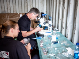 Safaripark Dvůr Králové nad Labem