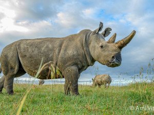 Safaripark Dvůr Králové nad Labem