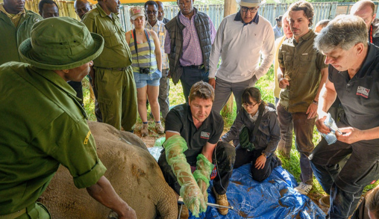 Safaripark Dvůr Králové nad Labem