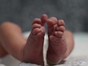 Kvůli kauze poškozeného dítěte v Rychnově klesl počet porodů